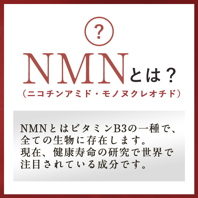 NMN4500（約1ヶ月分） サプリメント専門店オーガランド